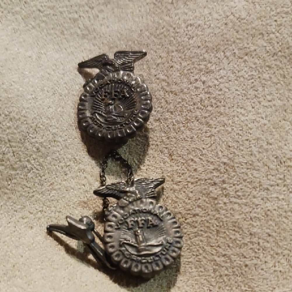 Elegant Silver FFA Lapel Pens